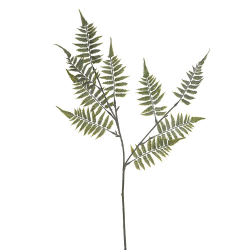 Fern Spray Green 71Cm from Country Baskets