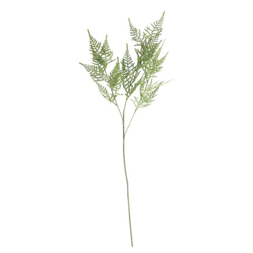 Asparagus Fern Spray