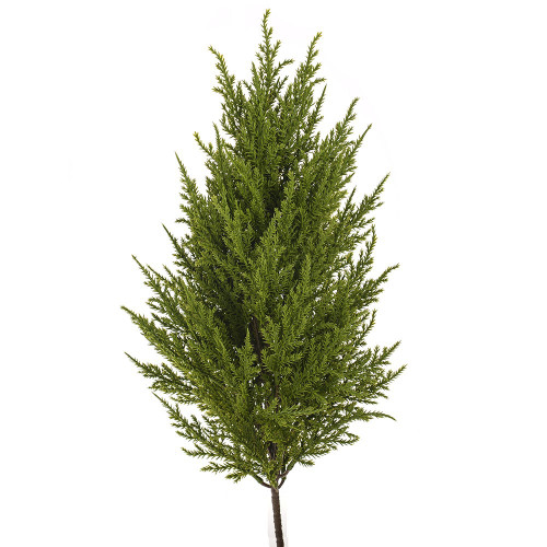 Cypress Spray 56cm