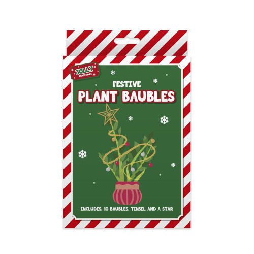Festive Plant Decoration Kit from Country Baskets