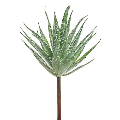 ICE Aloe Cactus Pick 19Cm from Country Baskets