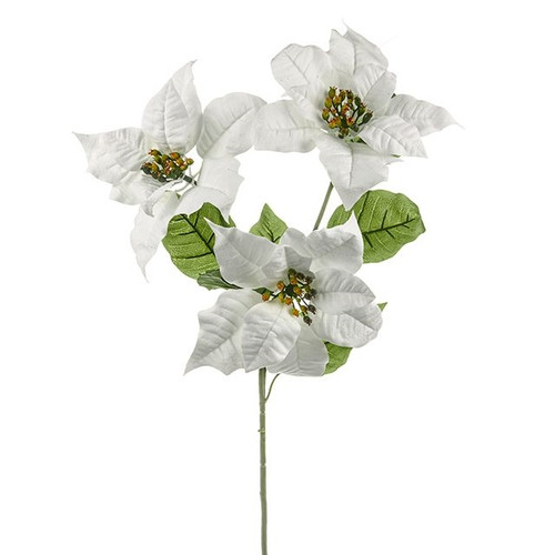 Poinsettia Velvet Spray Wht from Country Baskets