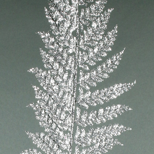 Large Silver Glitter Fern Leaf