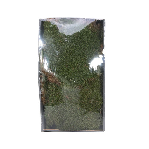 Green Moss w/Tray (Natural) (500gr) (1/6)