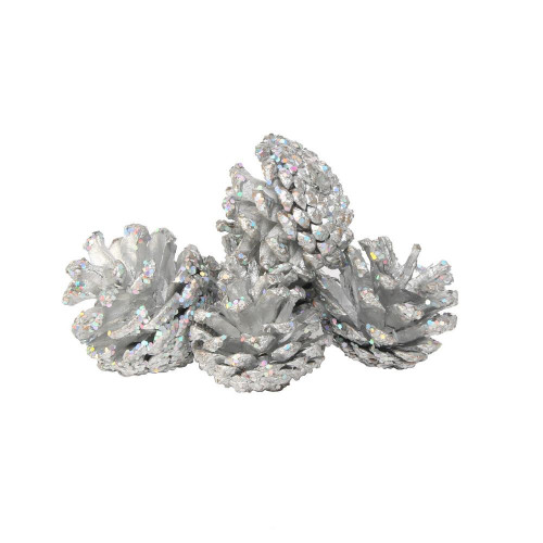 Silver Pinecones (250g / Net) from Country Baskets