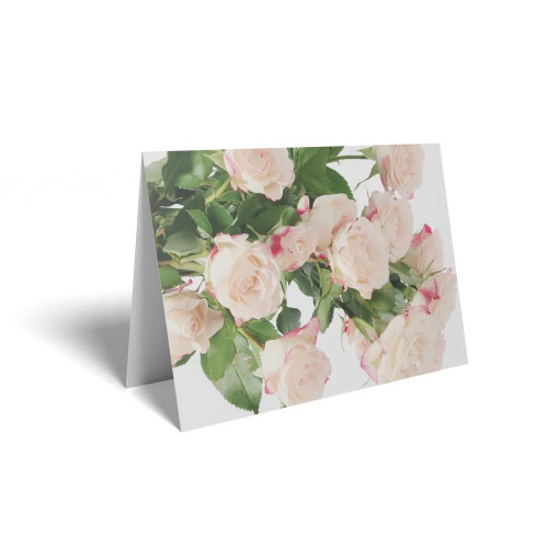 Folded Card  Pale Pink Roses