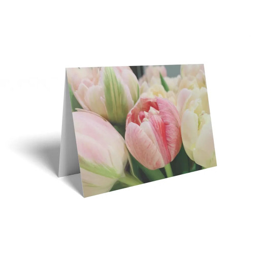 Folded Card  Tulips