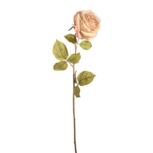 Artificial Etching Rose Stem Vintage Cream 64cm