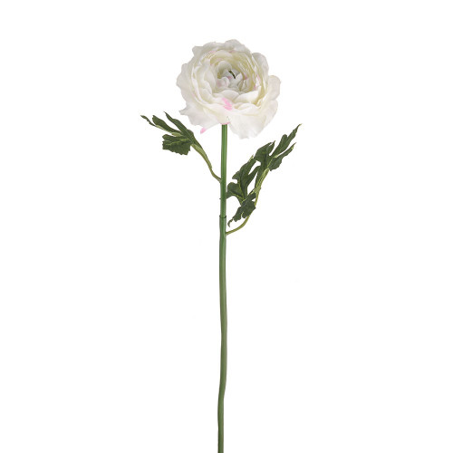 SORBET RANUNCULUS STEM CREAM 44CM