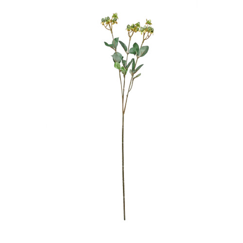 Hypericum Spray Green 62cm