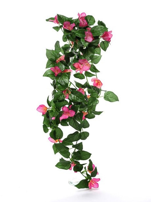 Bougainvillea Trailing Pink