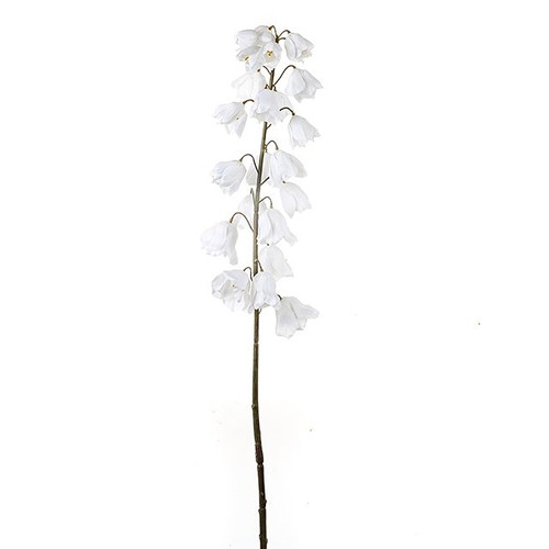 Fritillaria Stem White 95Cm