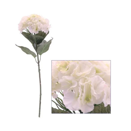 Hydrangea White/Cream