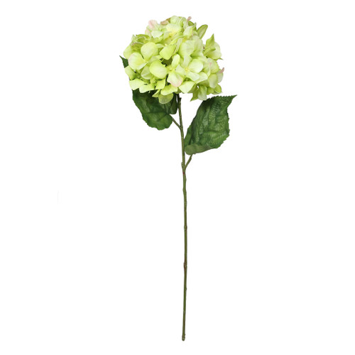 Hydrangea With 2 Lvs Lime 27"