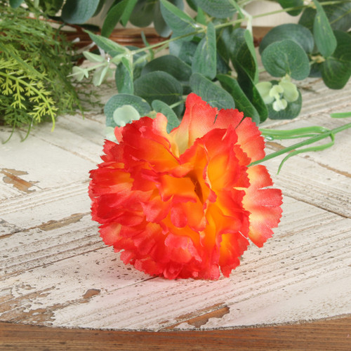 Carnation Single Orange