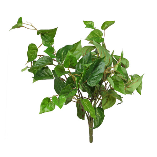 Pothos Bush Green UV  - 48cm