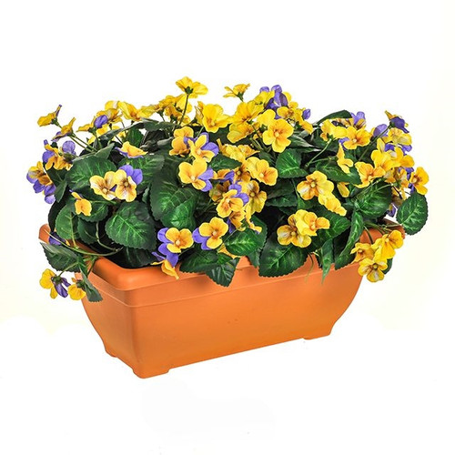 Planter Pansy Yellow And Purple