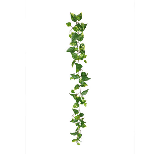 Pothos Garland Yellow/Green UV - 5ft