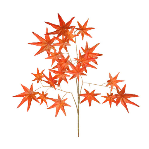 Essential Autumn Maple x12 - Red