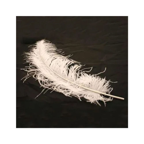 White Ostrich Feathers (pk5)