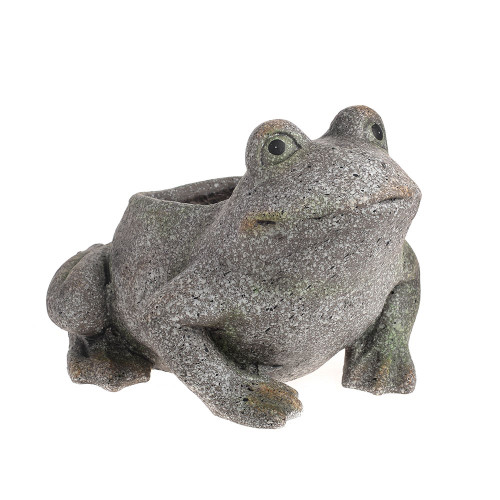 Frog Planter