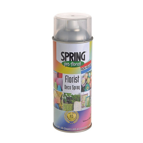 Spray Paint  Brite Silver Euro