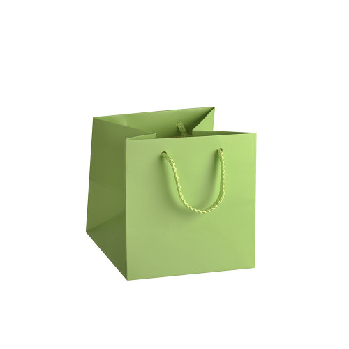 Hand Tie Bag Lime Green Small Single