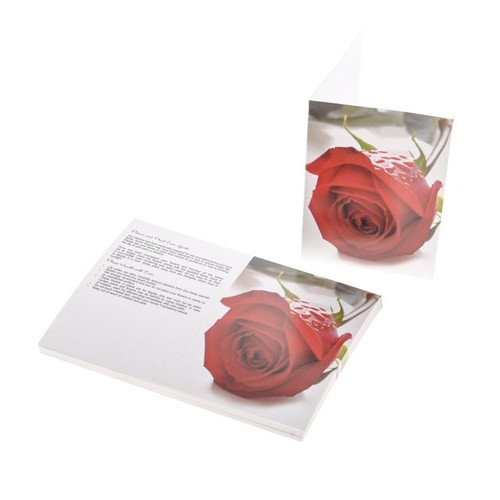 Oasis Folding Card Red Rose B X25