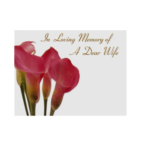 ILM Dear Wife Pink Calla Lily X50