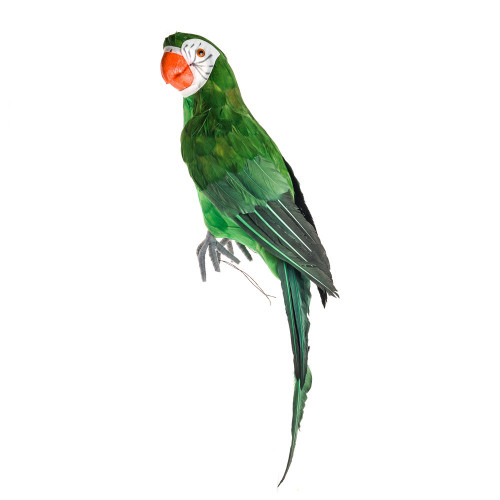 Macaw Bird Perching Green Large from Country Baskets