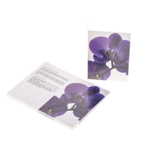 Oasis Folding Card Purple Orchid X25