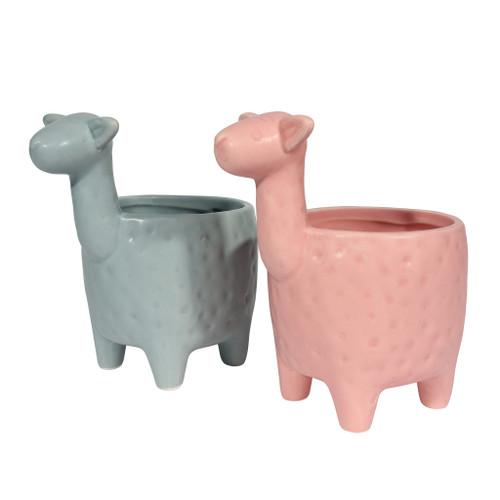 8.5cm Cacti Llama Ceramic (Pale Blue / Pink) MD 2021 from Country Baskets
