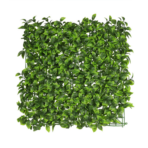 Exterior U.V Bay Leaf Green Wall - 50 x 50cm