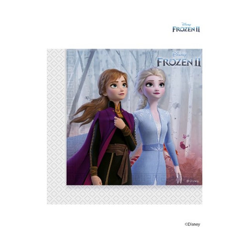 Frozen Party Napkins from Country Baskets