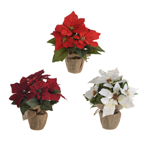 Potted Poinsetta Burlap Pot Red/Dark Red/Ivory 3Ast 26Cm from Country Baskets
