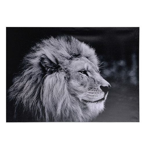 Canvas Lion 70Cm