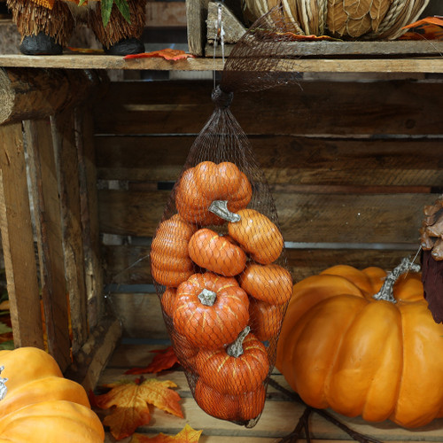 Pumpkins in Netted Bag Assorted Orange x 12 from Country Baskets