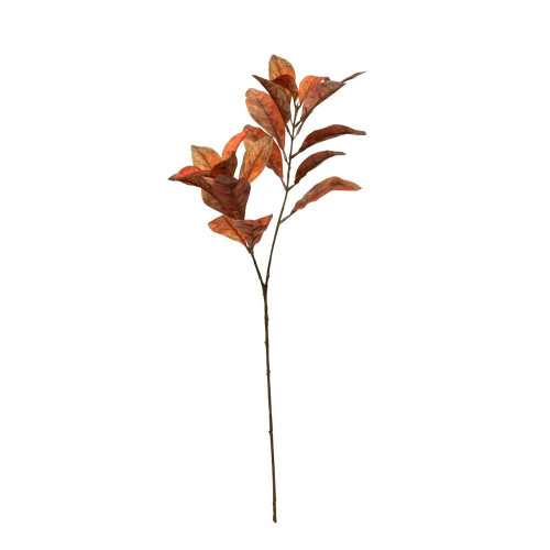 Glamis Croton Spray Orange (72Cm)