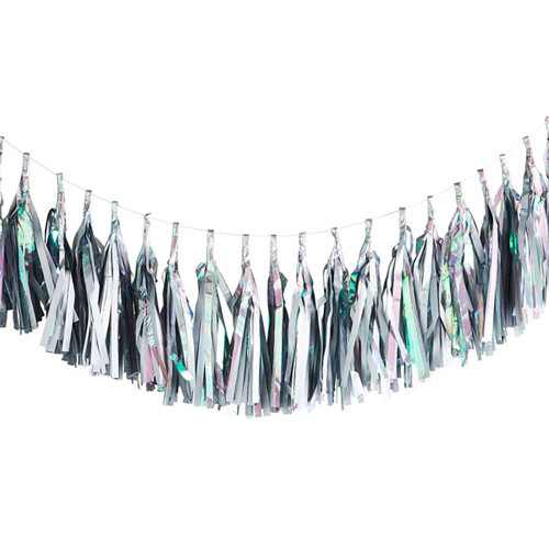 Iridescent Tassel Garland 3m