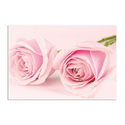 Oasis Folded Card Pink Roses X25