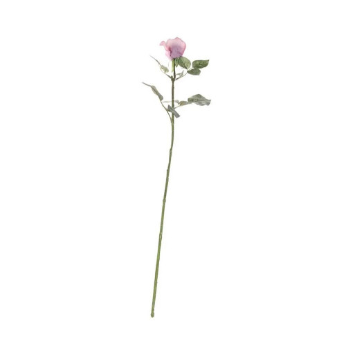 Single Celia Rose Antique Pink 71 cm