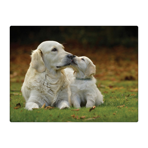 GOLDEN RETRIEVERS - WORKTOP SAVER - RURAL ROOTS