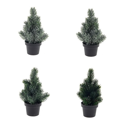 Christmas Mini Plant 4Ast from Country Baskets
