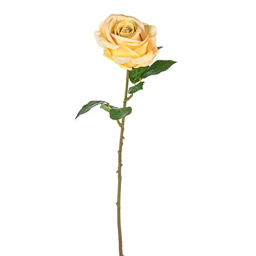 Fiesta Rose Yellow 47 cm from Country Baskets