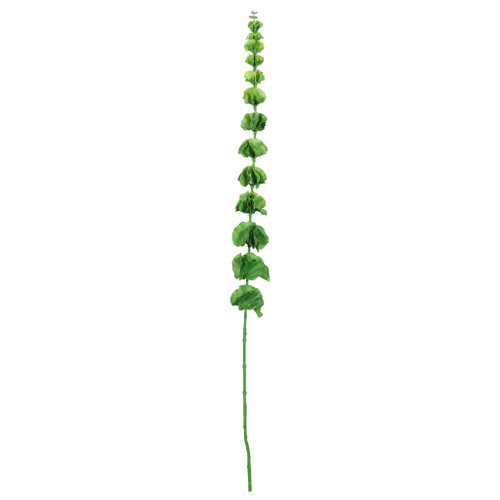 Bell Of Ireland Spray - 102cm from Country Baskets