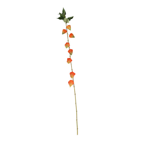 Single Houzuki - 91cm