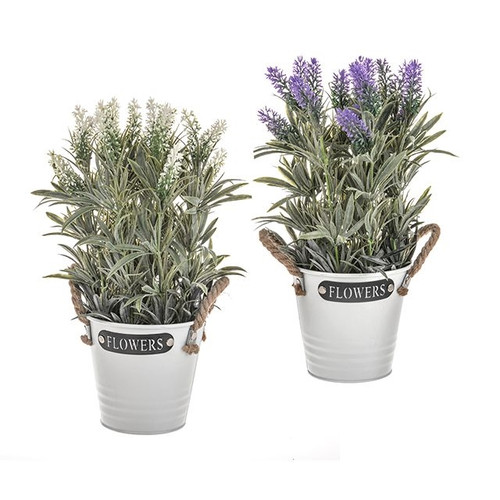Lavender Flowers in Metal Pot 35cm (Assorted)