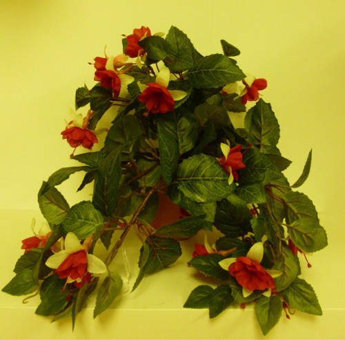 Hanging Fuchsia Bush Red/Cream