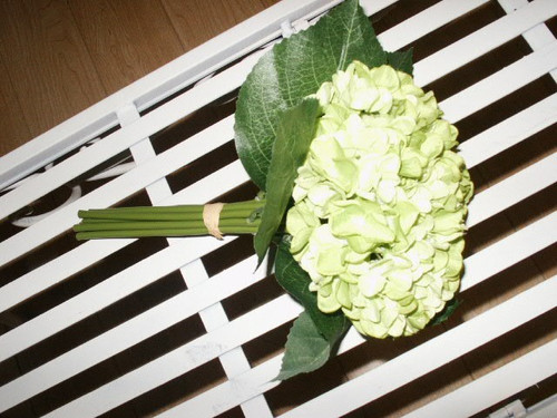 Hydrangea Bundle Lime Green