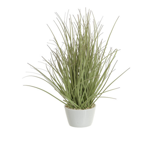 26cm Grass w/Ceramic Pot Purple